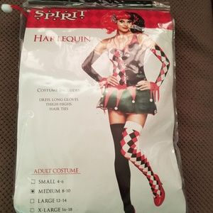 Halloween Costume HarleQuin